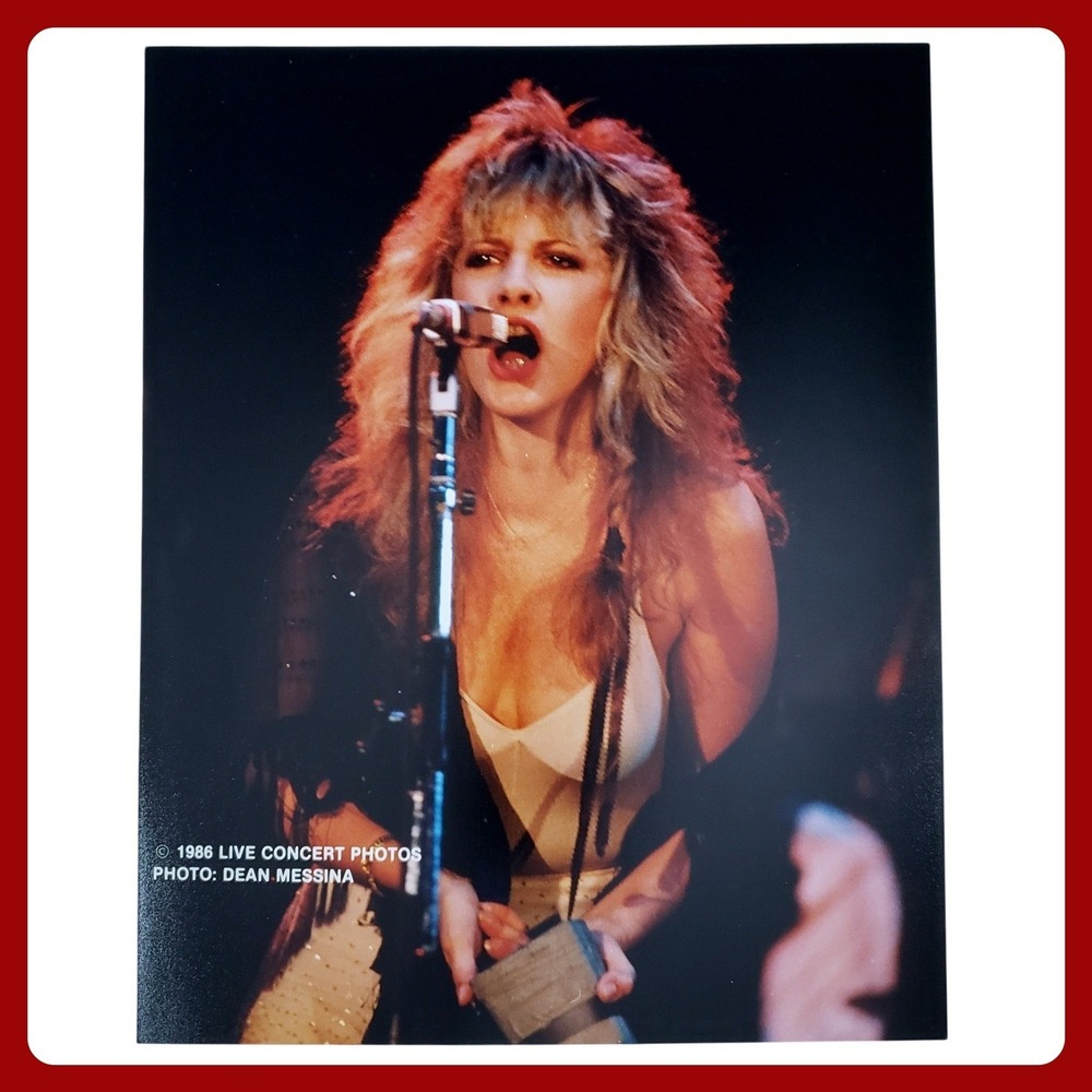 Stevie Nicks Fleetwood Mac Live Concert‎ Photo S&M Rock Photograph 8x10 Matte 1